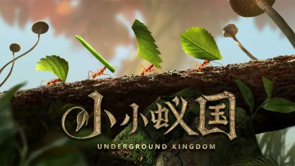 小小蚁国游戏升级攻略 小小蚁国游戏评测
